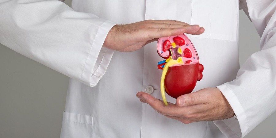 Kidney Transplantation In Bangalore
